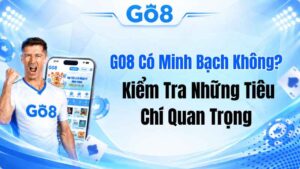 GO8 Có Minh Bạch Không? Kiểm Tra Những Tiêu Chí Quan Trọng